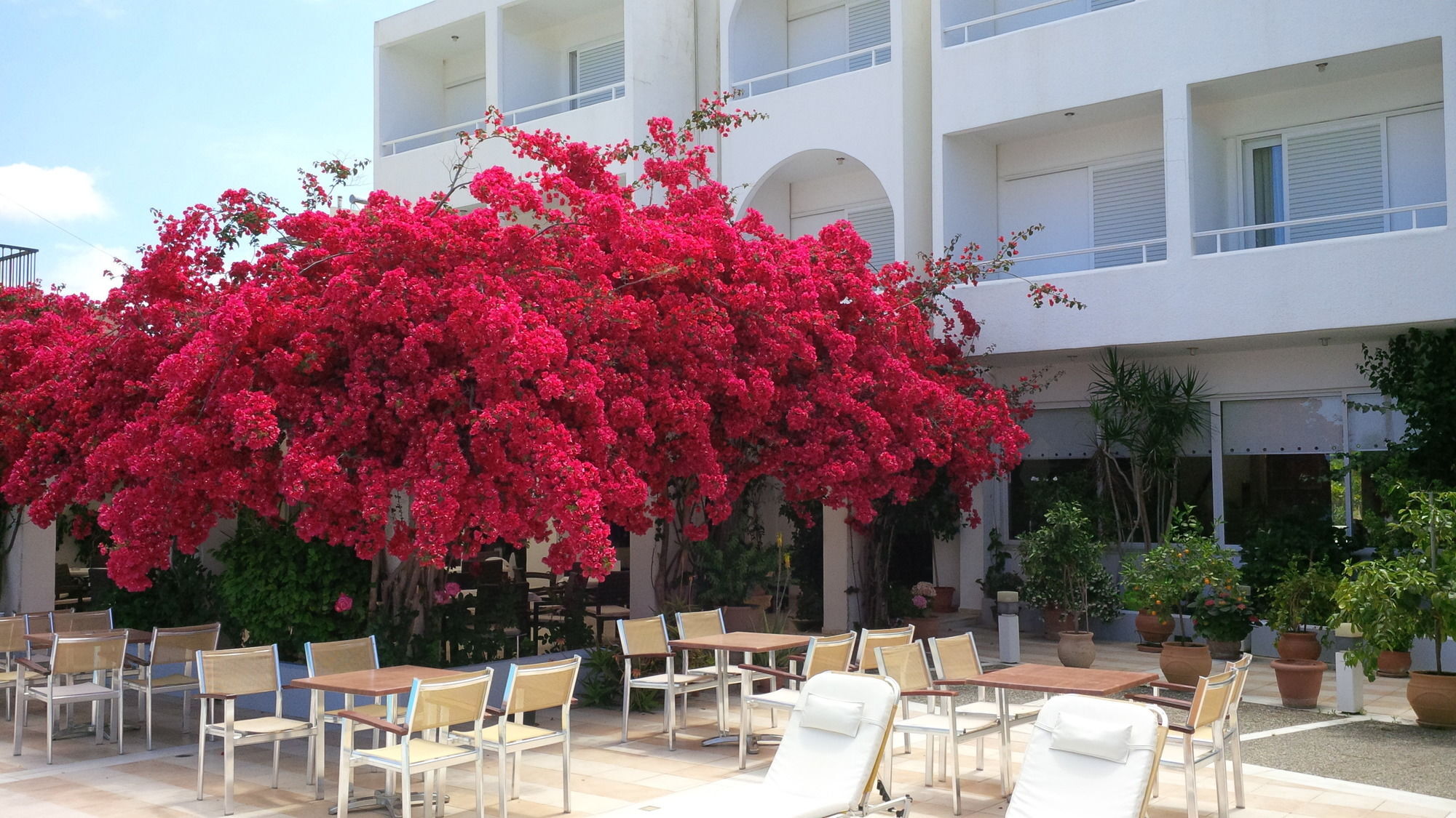 Kyparissia Beach Hotel 3* קיפריסיה